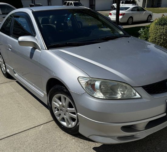 Untitled design (86)